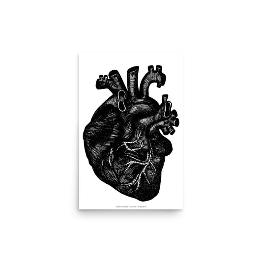 Anatomical Heart Print
