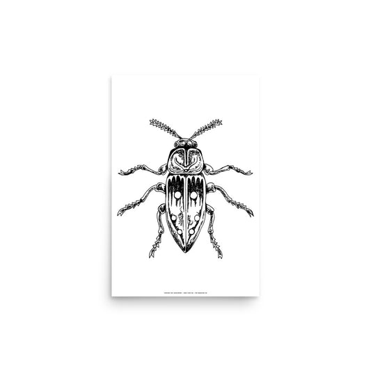 Bug Print
